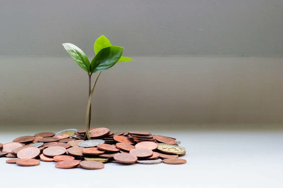 Novatos en finanzas